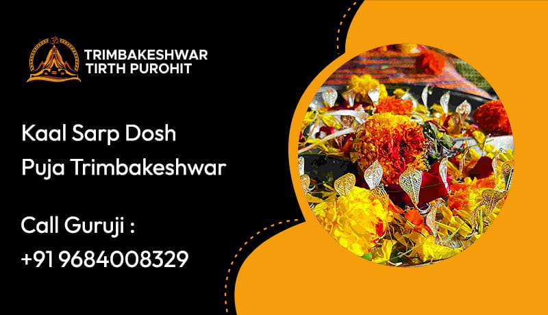 Kaal Sarp Dosh Puja Trimbakeshwar