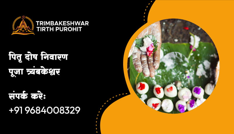 पितृ दोष निवारण पूजा त्र्यंबकेश्वर 